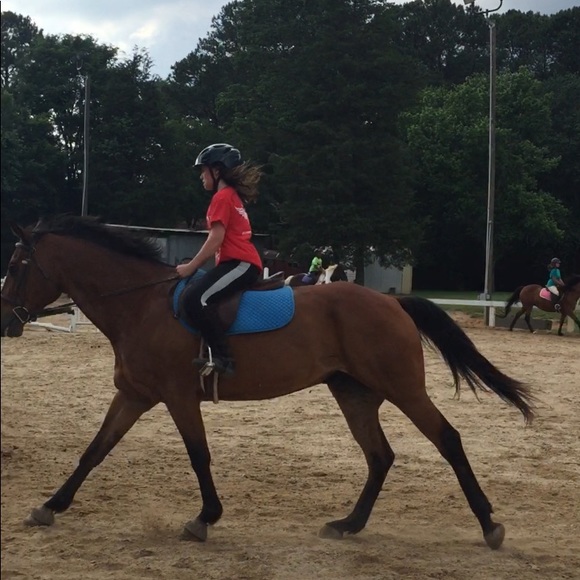 Meet your Posher, Eleanor - Picture 1 of 1